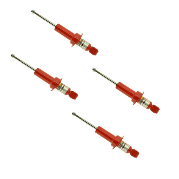 KONI RAID | Stoßdämpfer | Komplettset | Vorne 9905-1003 (2 Stück) | Hinten 9905-1004 (2 Stück)